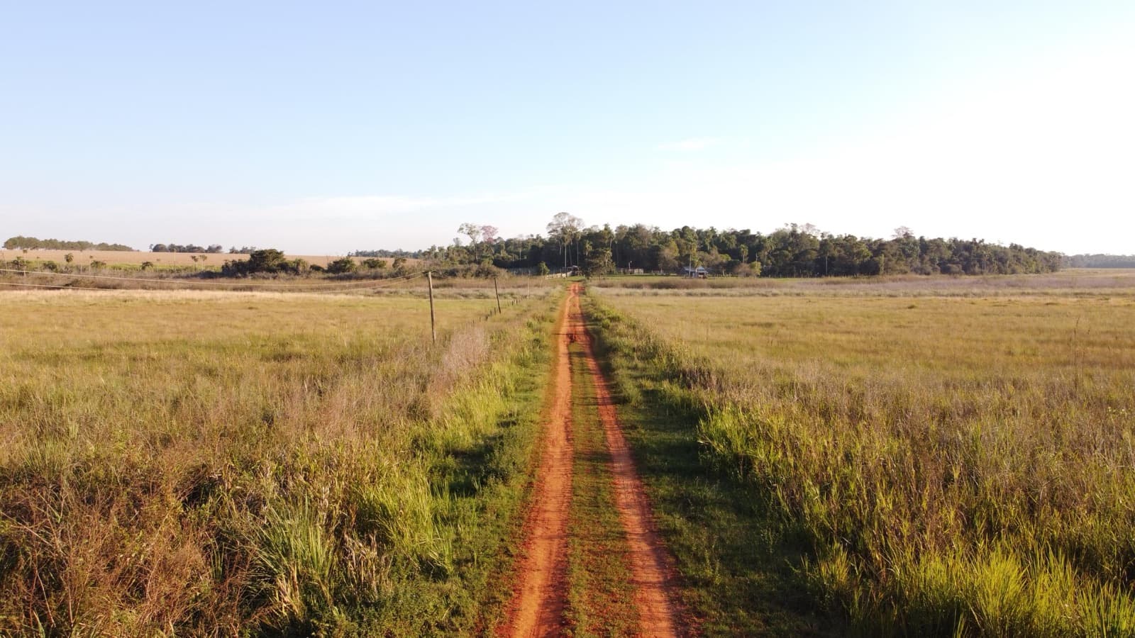 Camino de tierra entre los potreros